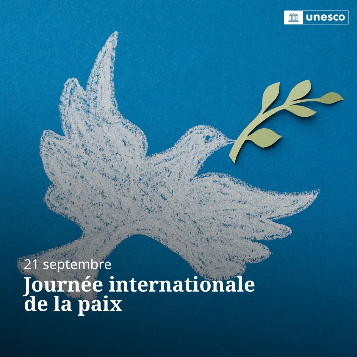 UNESCOKinshasa tweet picture