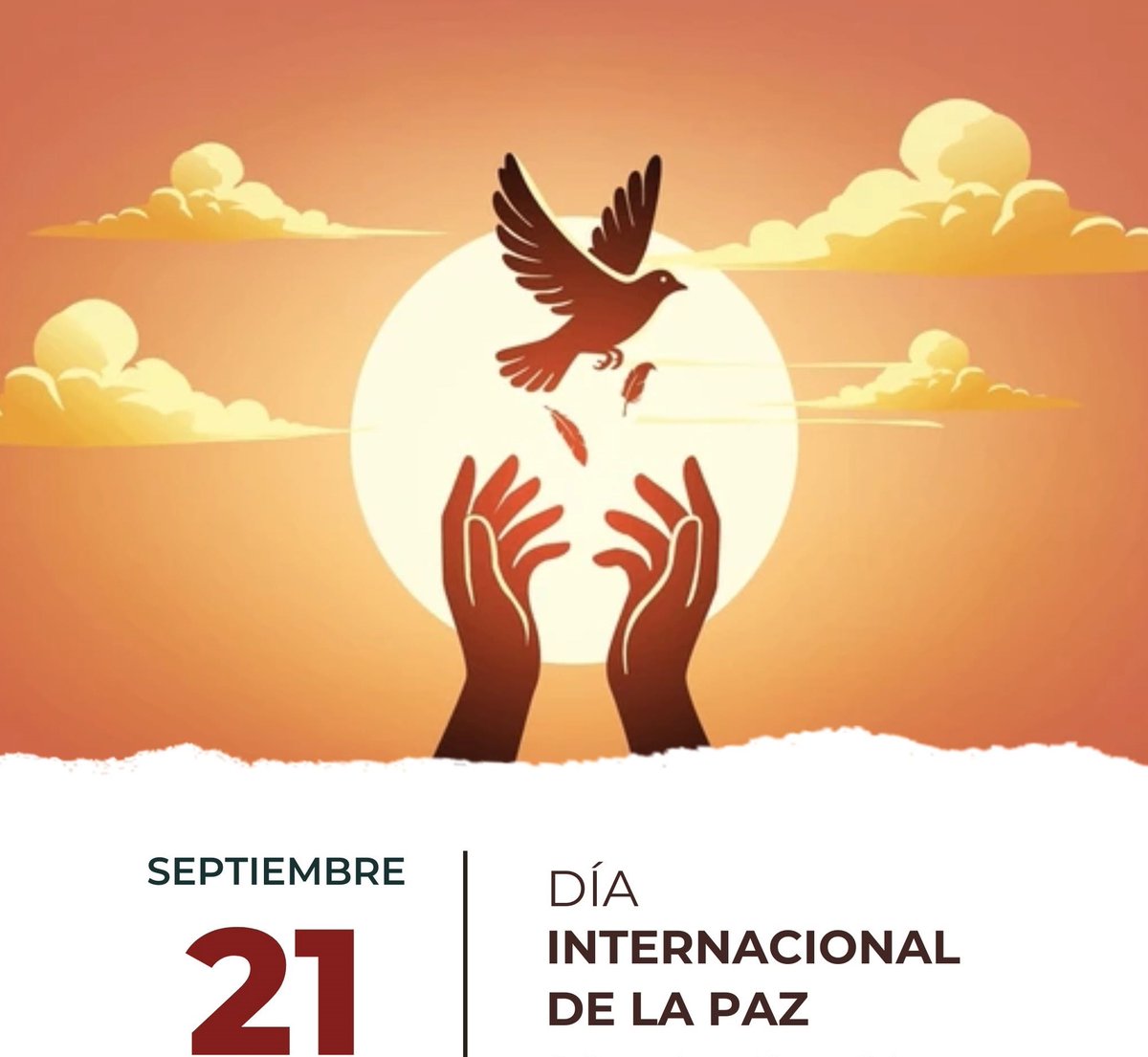 JorgeSutil2's tweet photo. La paz es un derecho de todos los pueblos y un camino hacia un futuro mejor. https://t.co/5YklaCO8fo