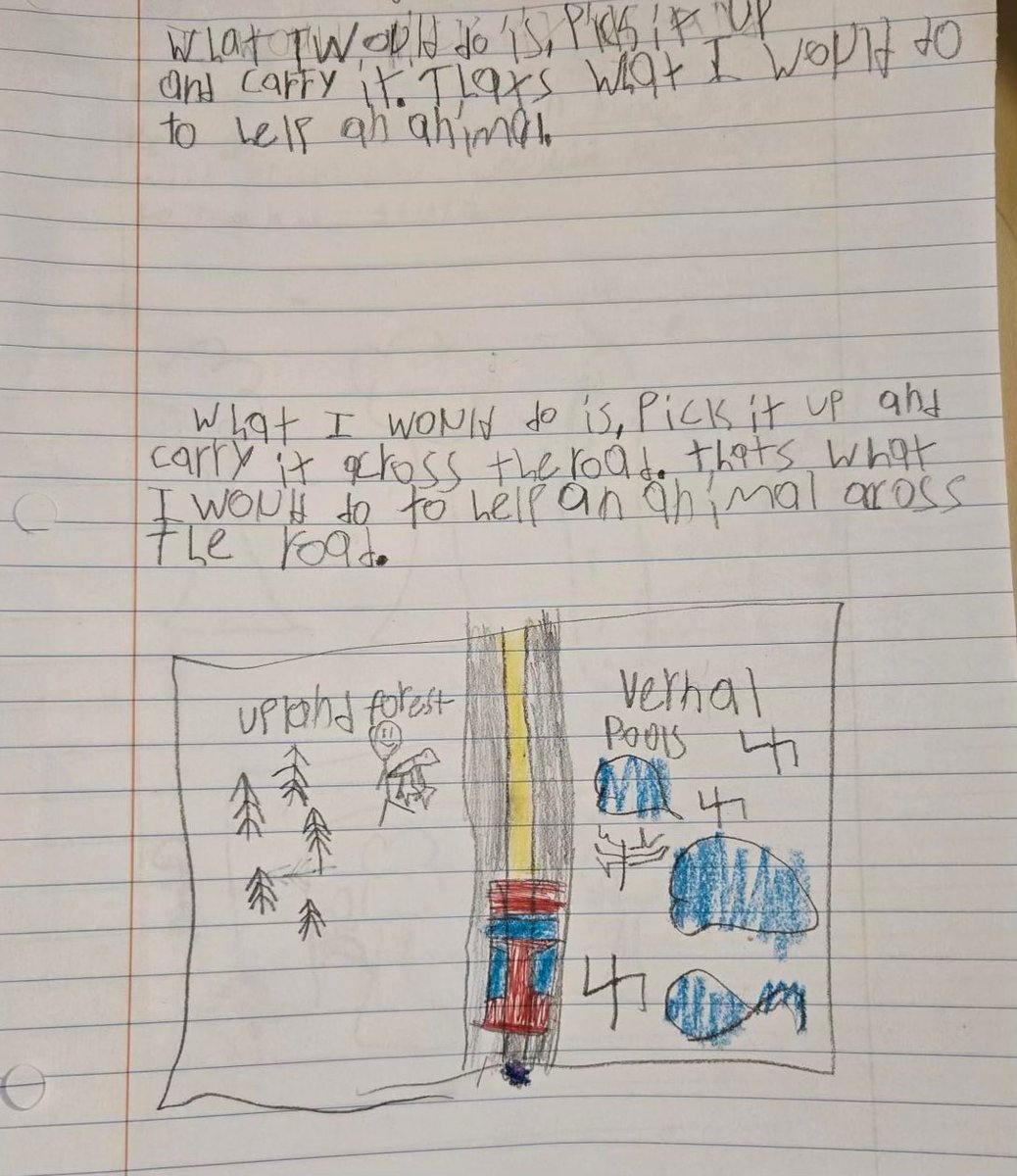 TheTigerLibrary's tweet photo. We read @TBABooks  Safe Crossing by Kari Percival in 3rd, 4th &amp; 5th grade.  I asked the students to share how they could help animals in that situation.
@DISD_Libraries @RobertsDISD https://t.co/qe7IrpkI1g
