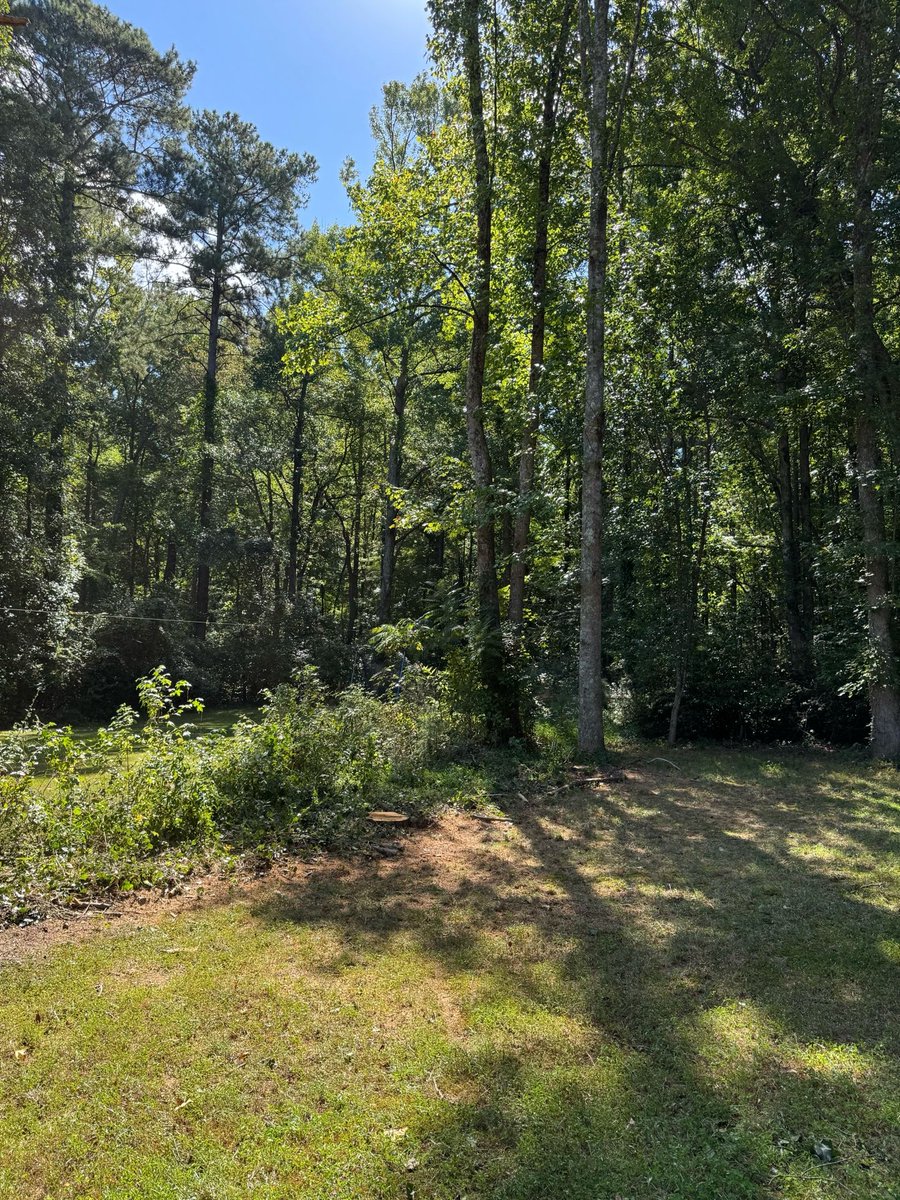 appalachian_of's tweet photo. Woodstock, GA: two large Bradford pear trees leaning over a house and fence were removed with very low yard impact, zero house damage, and impeccable cleanup. Before photos were accidentally deleted; these are the completed-work photos. #WoodstockGA #TreeRemoval https://t.co/twR40aDIYo