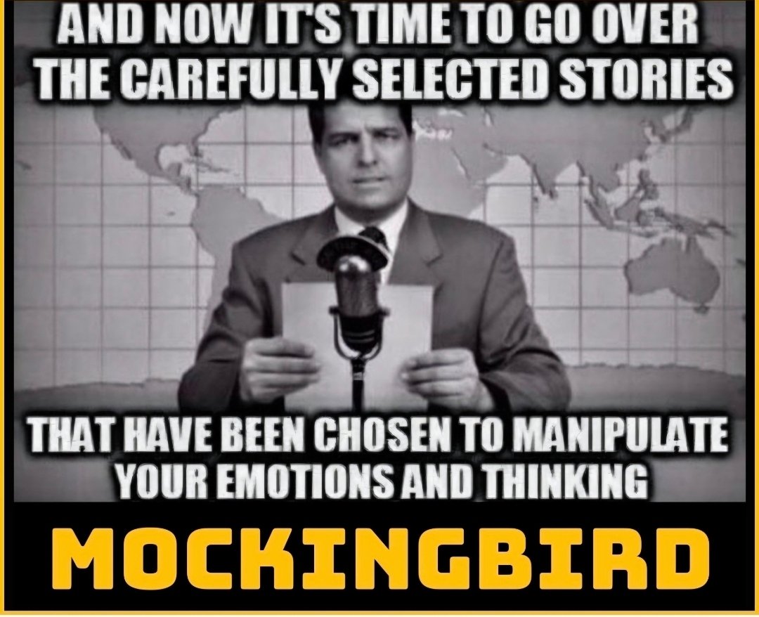 L77884Stephanie's tweet photo. @libsoftiktok They revealed themselves.  They are all together...Mockingbird. https://t.co/vqwUHbDN4e