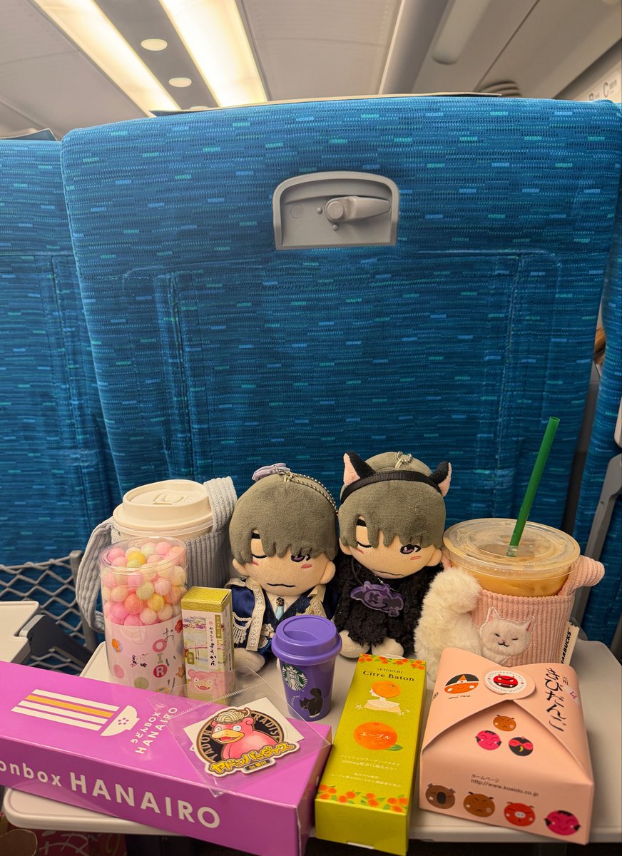 kyorohashi's tweet photo. 今年は運良く誕生日前日になにわ男子を観に行けたし誕生日当日も楽しい一日になりました🎶ありがとうございました💜(> ̫б) https://t.co/91ykcHx6wb