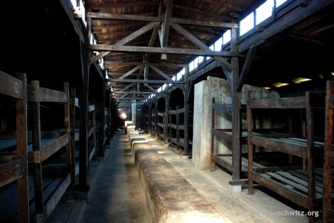 Interior view of a wooden barracks at Auschwitz II-Birkenau site (today's Memoria), showing rows of wooden bunks and supporting beams under a sloped roof. Light streams through the windows casting shadows on the floor.