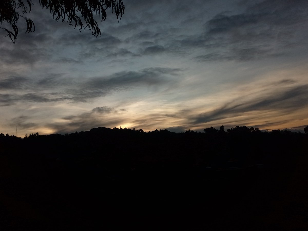 cffeebreak_'s tweet photo. Chugged some wine and went on a walk https://t.co/N8EknlfcSF