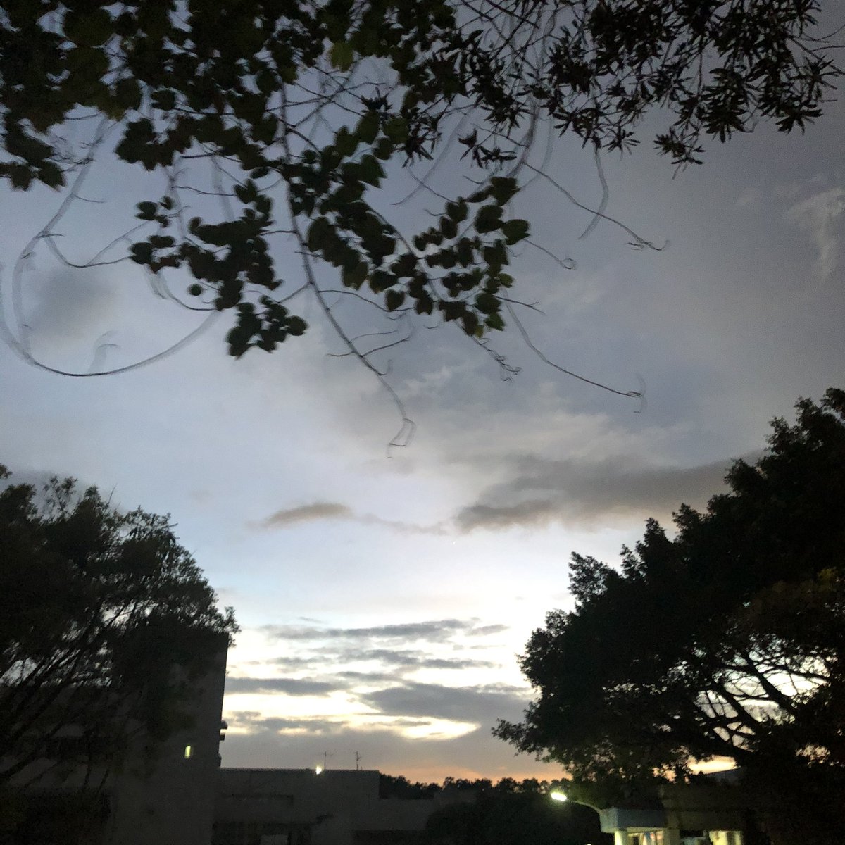 iamxiaoxin9's tweet photo. ���风顺水 https://t.co/Naj2vAGo7r