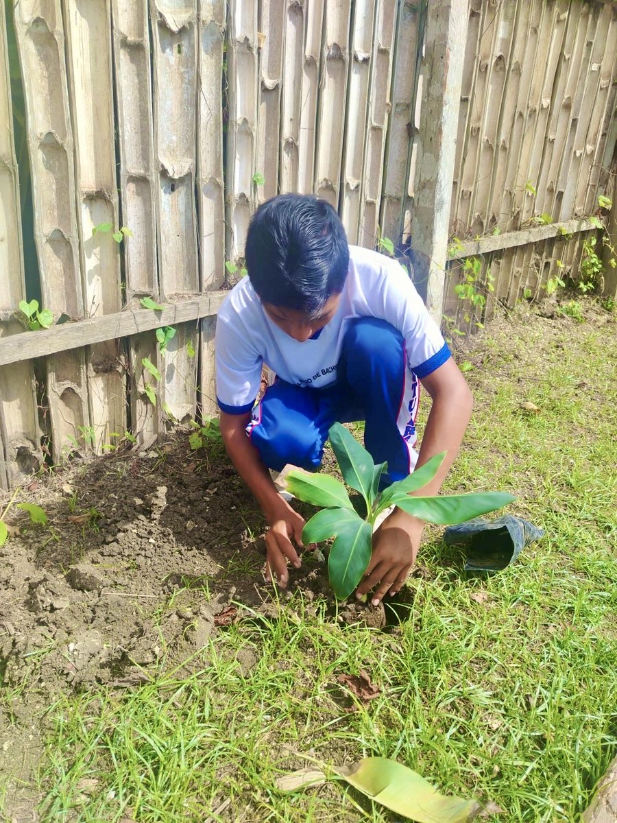 INIAPECUADOR's tweet photo. Fortalecemos conocimientos sobre el manejo y conservación sostenible del suelo. 🌱
Junto al programa global “Doctores de los Suelos” en Atacames, capacitamos a estudiantes y docentes de la U.E. 12 de Octubre sobre prácticas sostenibles e implementación de huertos hortícolas. https://t.co/0bGZu9tKMs