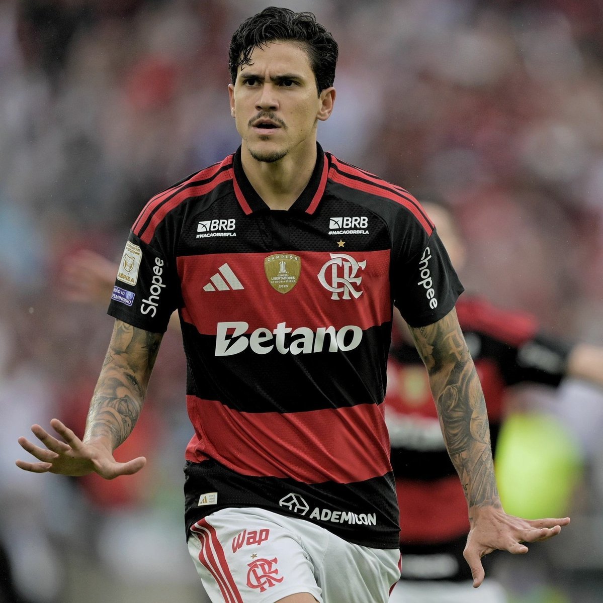 OficialSala12's tweet photo. Pedro no Flamengo por temporada:

• 2020: 23 gols (26 G/A)
• 2021: 18 gols (25 G/A)
• 2022: 29 gols (36 G/A)
• 2023: 35 gols (39 G/A)
• 2024: 30 gols (38 G/A)
• 2025: 15 gols (22 G/A)
• 2026: 25 gols (33 G/A)

Participa de um gol a cada 94 minutos com a camisa do clube. https://t.co/glvDbanAlA