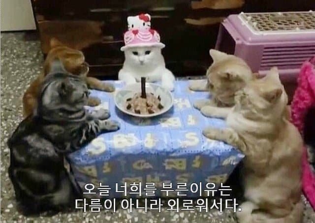 Hyo_modi's tweet photo. 여산이 https://t.co/1XMCggpUnl