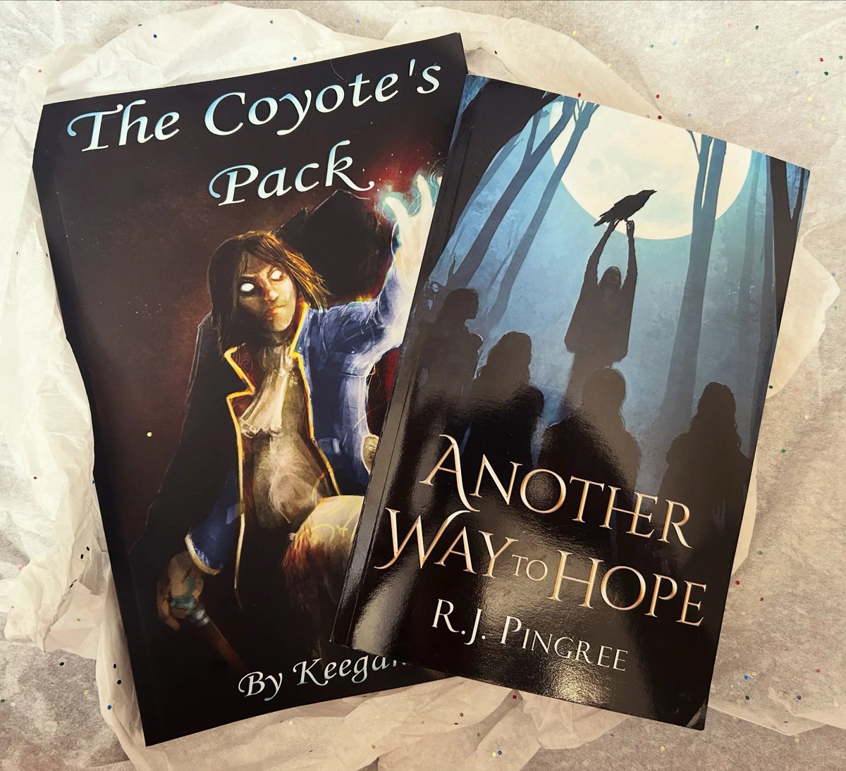 BookSpotlight tweet picture