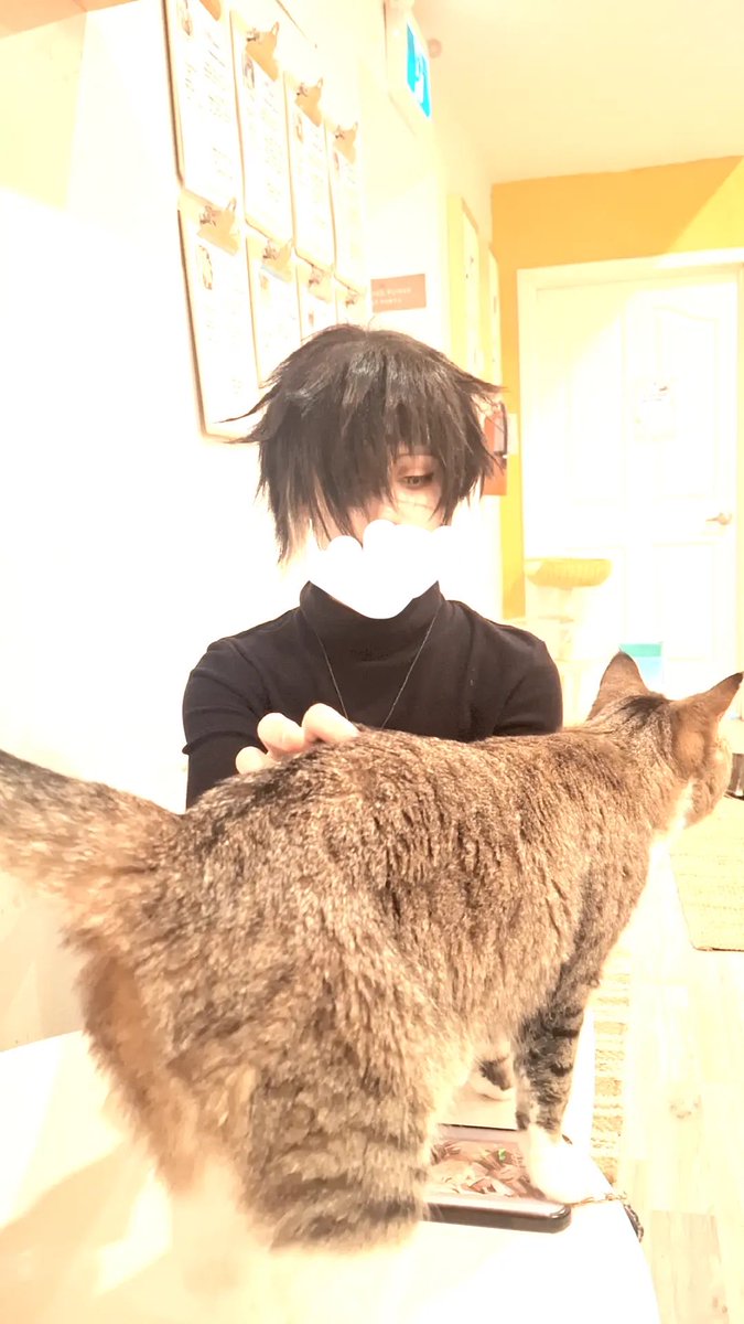 shironemii's tweet photo. fun day as towa with oomf https://t.co/XSOcgUpwh3