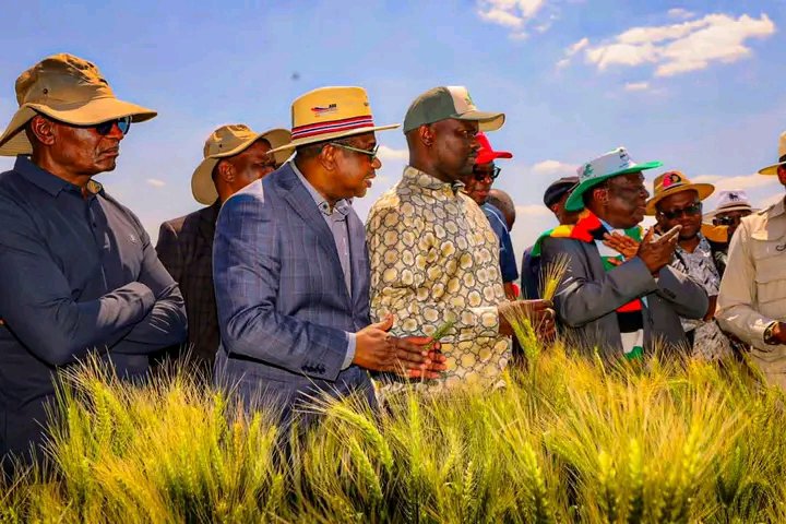 Zuluelizayo1111's tweet photo. Stay away from anyone who thinks farming is for the poor
@Varakashi4edByo
#EDWORKS
#ZIGBHOO
#NYIKAINOVAKWA ICHITONGWA NEVENE VAYO
#ILIZWE LAKHIWA LIBUSWA NGABANIKAZI BALO
#HANGO INO BAKWA ITUNGAMIGWA NABENE BAYO
#SHANGO LIFHATWA, LIVHUSWA LARABHELELWA NGAVHANE VHALO
AMANDLA🐊💪🏽🇿🇼 https://t.co/6rNHJuBb1x