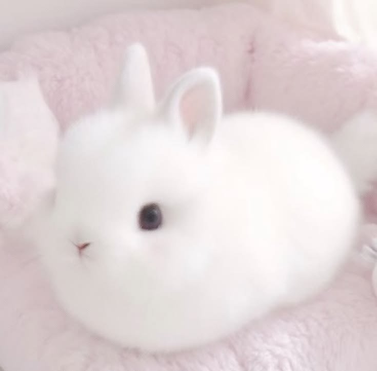 fluffycutie_jsc's tweet photo. เมิลกันเย้ยอะ https://t.co/8aZO6Wt06Y