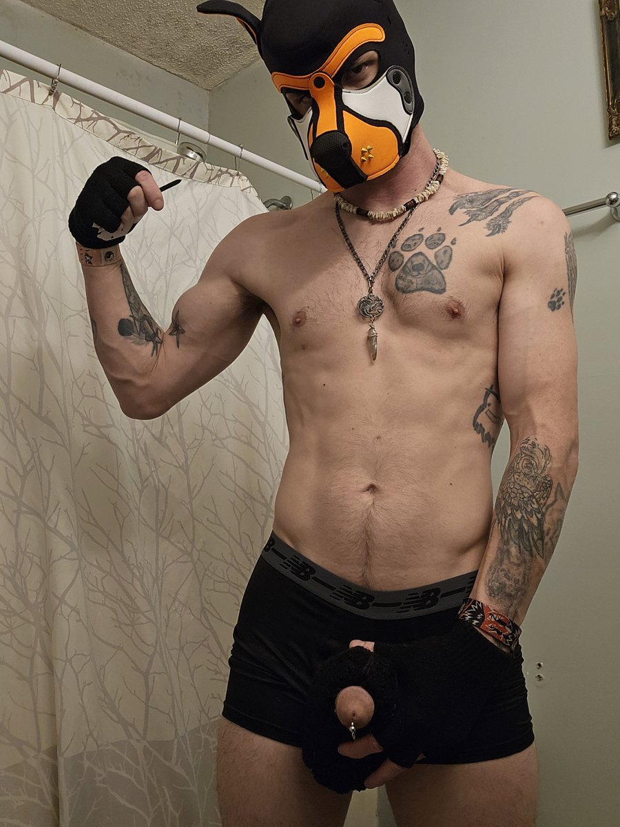 resythefolf's tweet photo. Looking a little buff there puppy. 
#kinkypup #mursuiter https://t.co/KyF3tFCpK9