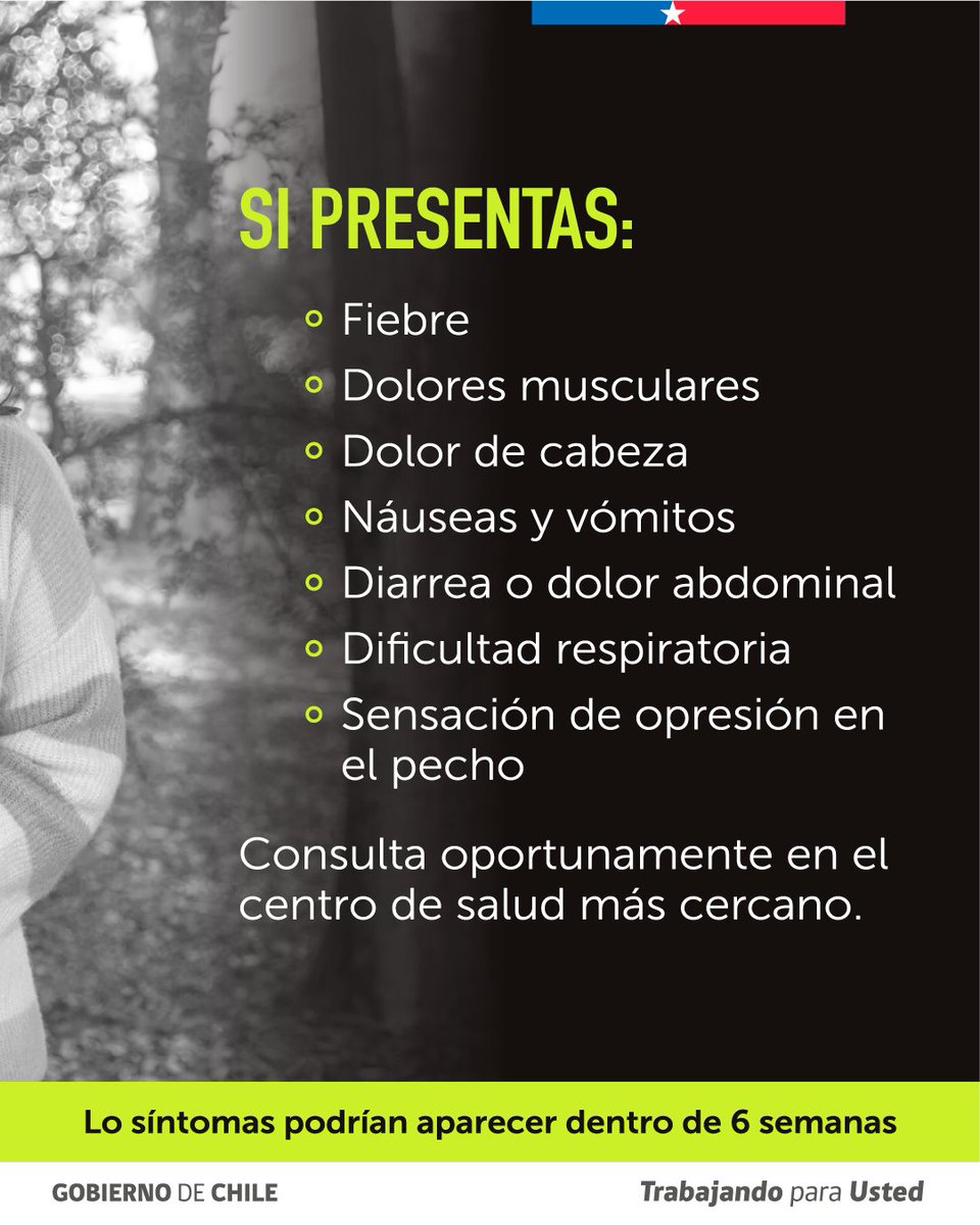 ministeriosalud's tweet photo. ¡Reconoce los signos y síntomas del Hanta, y consulta a tiempo!

Recuerda que los síntoma podrían aparecer dentro de 6 semanas posteriores a la exposición el roedor. https://t.co/Ickqu8MqKh