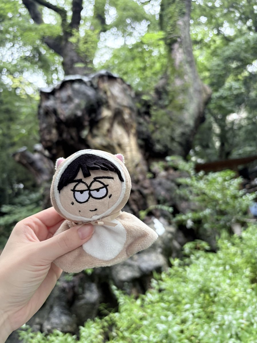 bnsuglv20's tweet photo. てったのT！⟡.·
少し前家族で熱海いって神社の大木にわんえん運気アップ神頼みしてきたよ〜わんえんさんあいたい( > <꧞)( > <꧞)( > <꧞) https://t.co/jPg7uufg5h