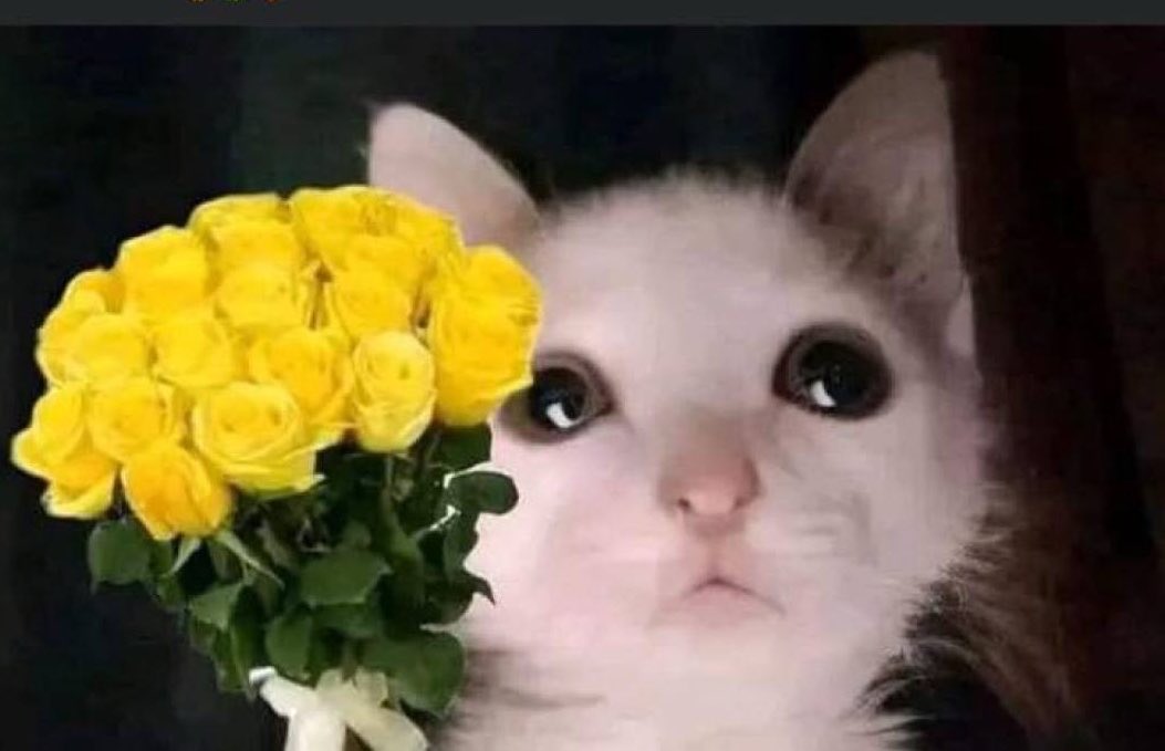 xstandcry's tweet photo. Una flor para otra flor @xCryboy 

#UnaFlorParaCry #FloresCryboyers https://t.co/JadlsQTaQI