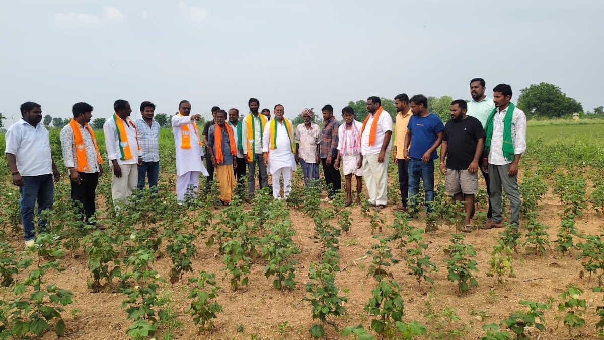 GoliForBJP's tweet photo. CROP DAMAGE DUE TO  SHORTAGE OF ELECTRICAL POWER .FAILURE OF TELANGANA CONGRESS GOVERNMENT ,VISITED CROP DAMAGE AREA OF KANAGAL MANDAL NALGONDA DISTRICT TELANGANA.GOLI MADHUSUDAN REDDY KISAN MORCHA NATIONAL EXCUTIVE MEMBER AND TEAM . https://t.co/qkqaFPQJew