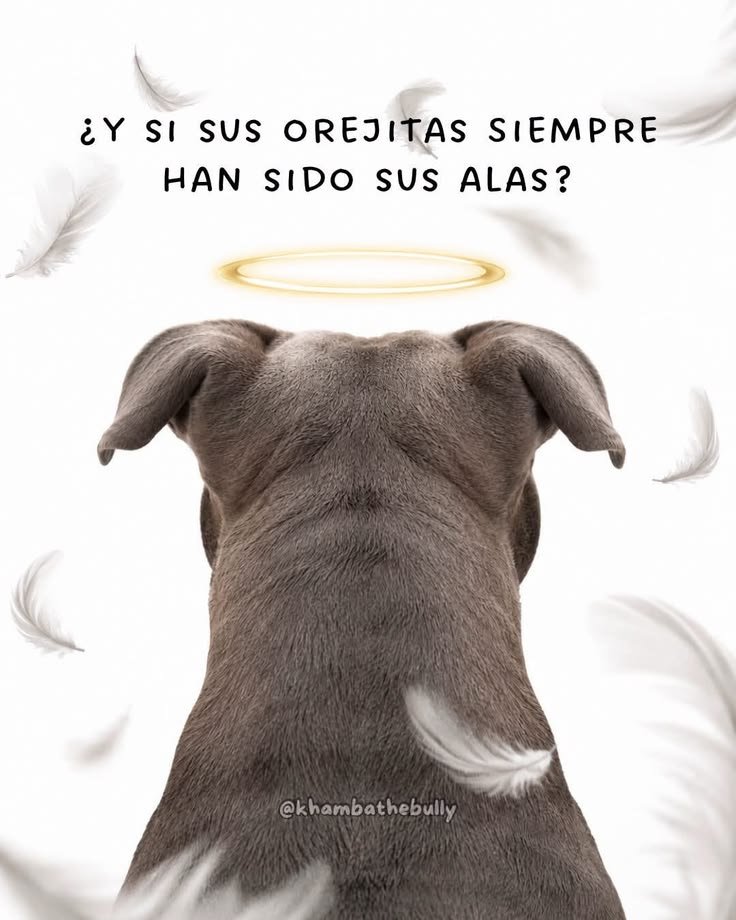 rey_latino33087's tweet photo. https://t.co/8wx8ZR1IQP