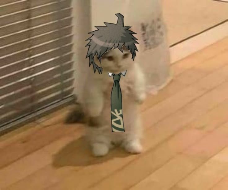 Multiifandom123's tweet photo. Hajime hinata cat
#HajimeHinata https://t.co/CfxnwXy7uX
