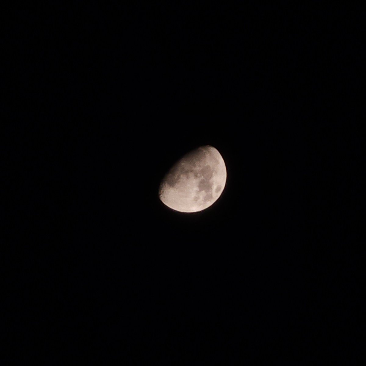 talkingtothemb's tweet photo. 260921🌙 https://t.co/0iallqpOLh