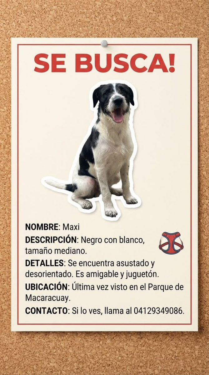 gracon27's tweet photo. #Caracas
#Macaracuay
🚨🚨🚨🚨🚨🚨🚨🚨🚨🚨🚨
Se Busca🚨🚨🚨🚨🚨🚨🚨
Favor difundir🙏🏻❤️‍🩹🐶
Gracias 🇻🇪🙌🏻 https://t.co/77FYFtWQFO