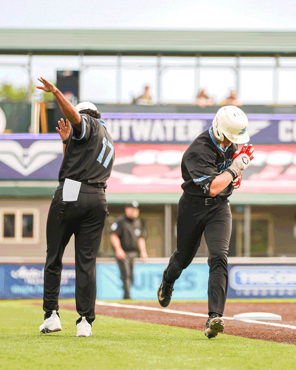MadisonMallards's tweet photo. do you remember our playoff run? #EarthWindFire ⚫️ 🍂 🔵 https://t.co/jQUtOv7Ti1