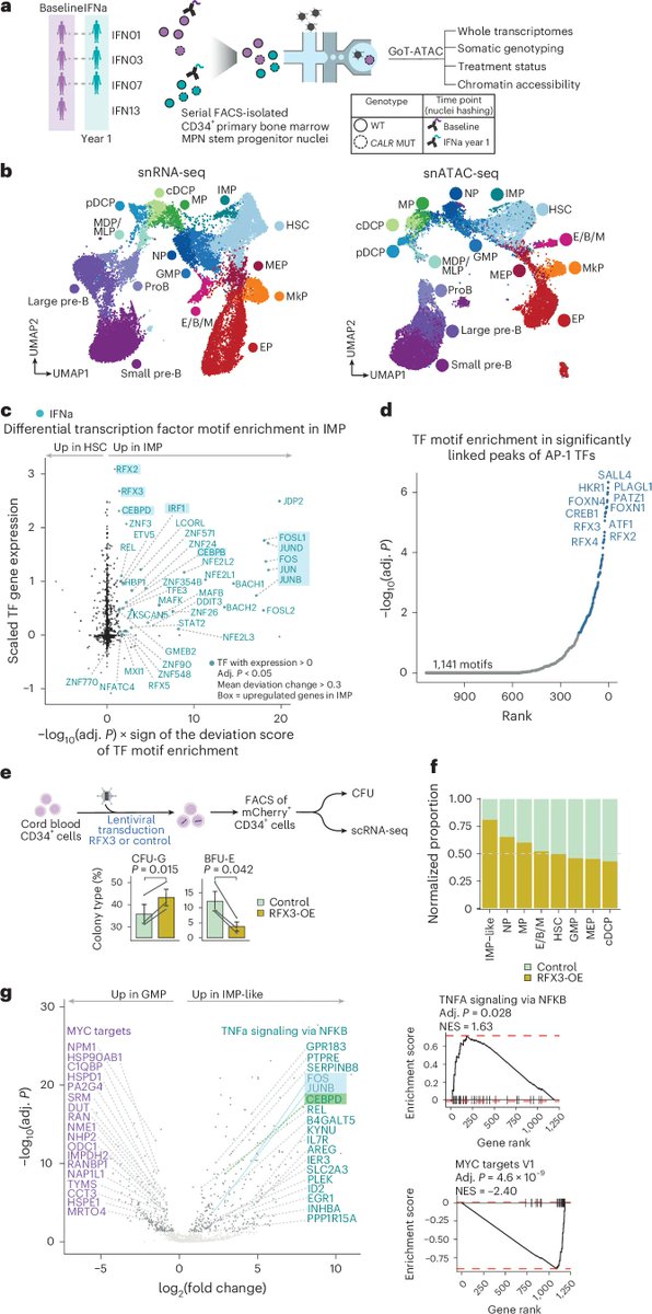 EpigenomeTech's tweet photo. Epigenetics Update - Type 1 interferon perturbates clonal competition by reshaping human blood development https://t.co/OhWjkQbdi8
Ronald Hoffman & @AnnaEnim (@WeillCornell) in @NatureGenet
#Epigenetics #Interferon #BloodDevelopment
---
https://t.co/WmSYDGWPJD https://t.co/w4qIoCfsfu