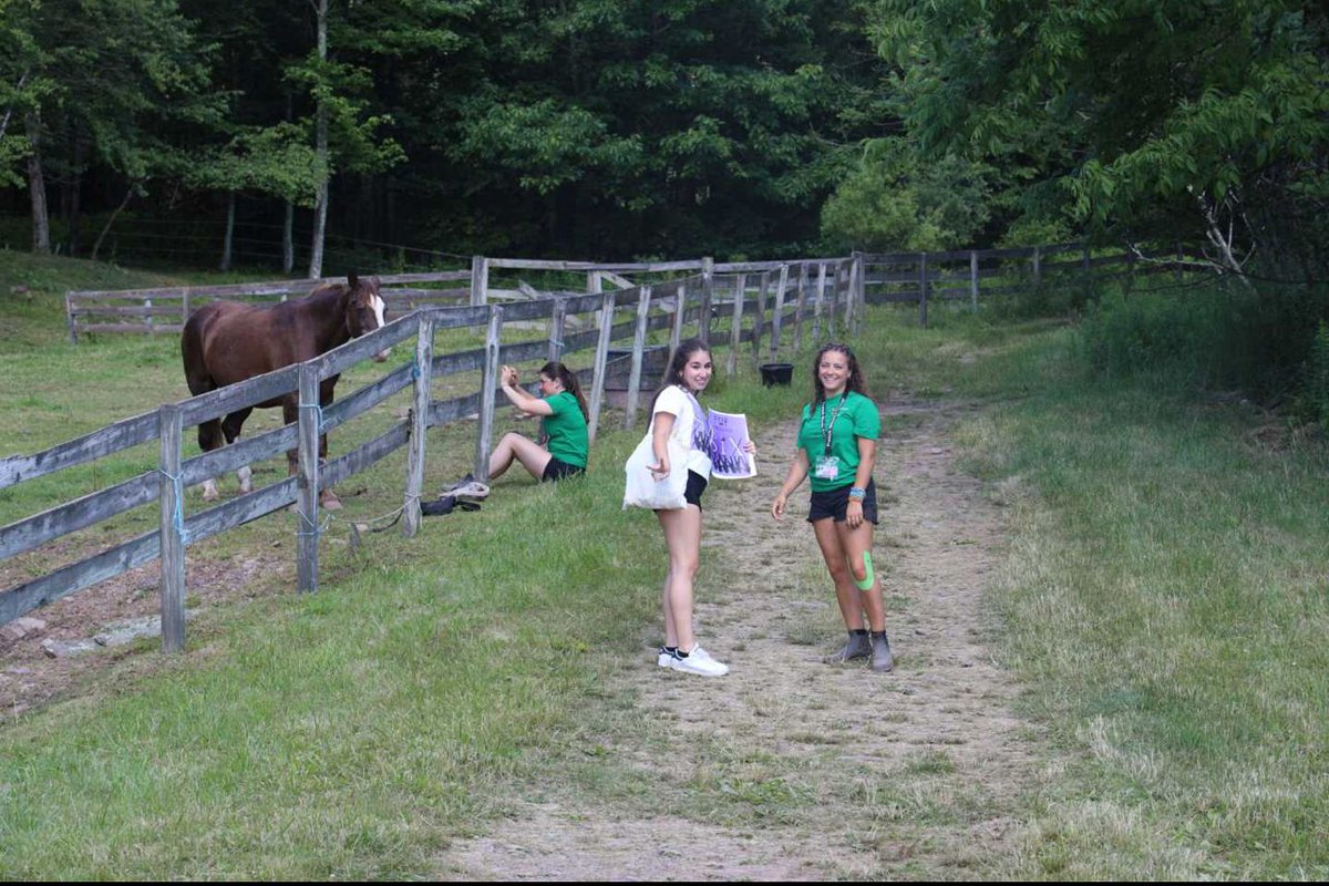 FrenchWoods's tweet photo. Summer Rewind 🔄

If you love animals and have ever been interested in learning how to ride and look after your own horse... well, you should come up to Horseback at French Woods.

This is one of the most beloved places on camp, with some beautiful horses ready to meet our campers.

Here are some shots from Horseback on Visiting Day in Session One. 🐴