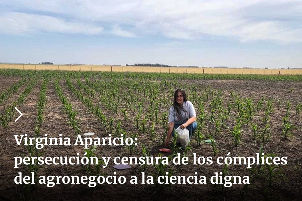 Tierra_Viva_'s tweet photo. Virginia Aparicio es investigadora del INTA y coordinó un estudio que reveló la presencia de plaguicidas en los cuerpos de habitantes del sudeste bonaerense. A raíz de esa investigación se le inició un sumario y hoy corre el riesgo de ser despedida. ‼️
➡️ https://t.co/N3P71AAUj6 https://t.co/bd3U5DrfjE