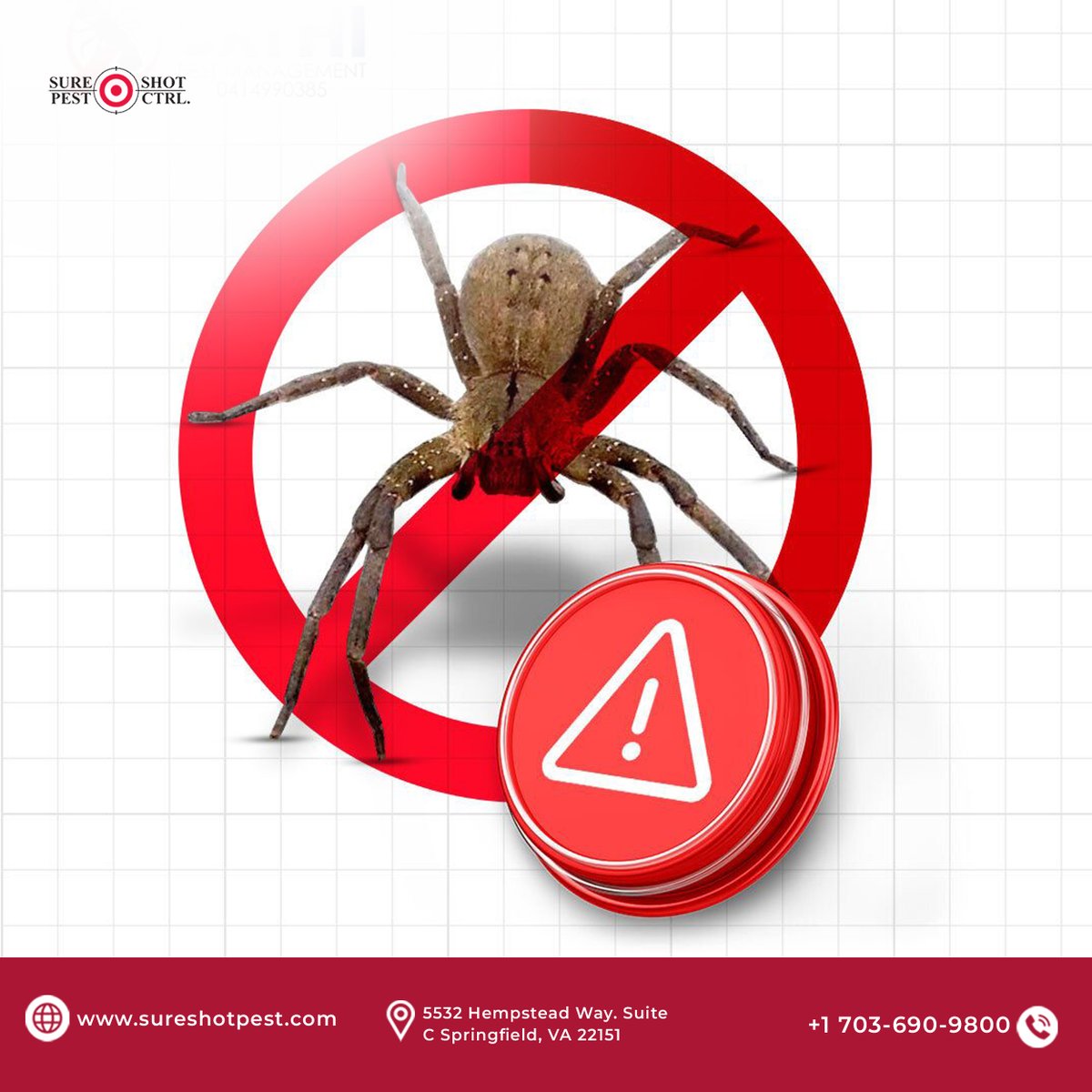 sure_shotpest's tweet photo. Keep unwanted spiders and pests out of your home! Professional pest control can help protect your property and provide year-round peace of mind.
📞 +1 703-690-9800 🌐 https://t.co/zxyo7K1rfT
#PestControl #SpiderControl #PestPrevention #SpringfieldVA #NorthernVirginia https://t.co/22ObrzQUNo