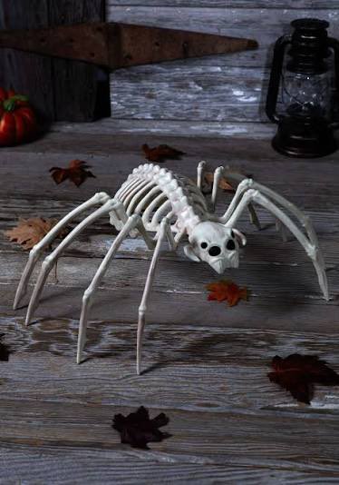 Lucayou7's tweet photo. I love October and Halloween but my biggest pet peeve with it is when they’ll be decorations that are skeletons of animals that have “skeleton ears” or worse skeletons of insects and arachnids https://t.co/Z5Vq3tIcki