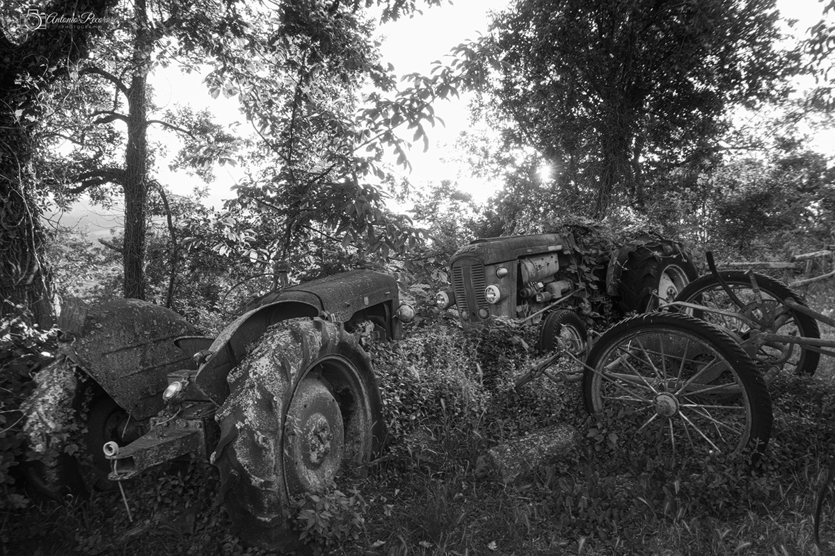 LishaCastre8cn's tweet photo. Abandoned tractors and forgotten machinery, slowly reclaimed by nature in the countryside. https://t.co/ZObjIB96G4