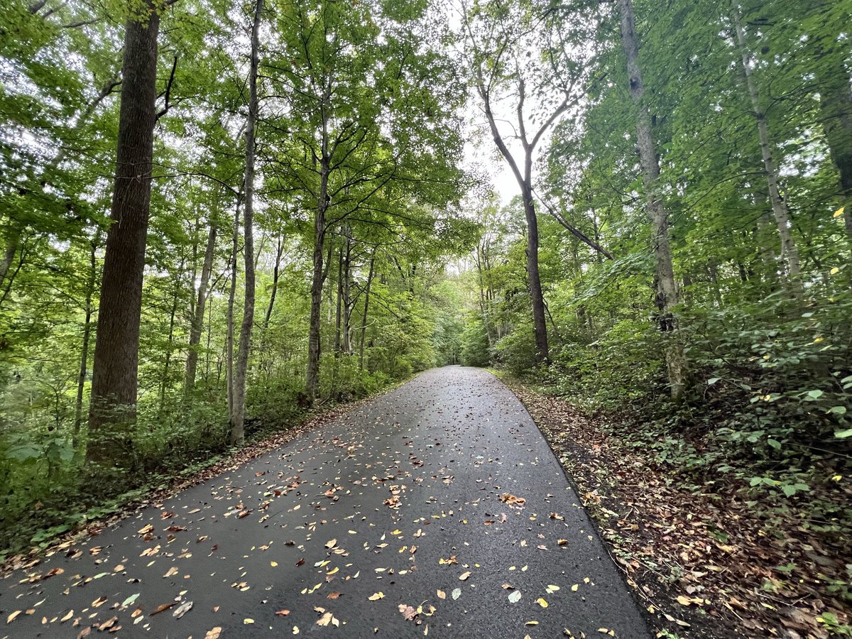 FreedomFisher's tweet photo. Someone forgot to tell Mother Nature that Fall starts tomorrow! -Clifty Falls SP, Madison, IN #stillgreen @BGoodeWAVE3 @BryceJonesWx @BenPeineWeather @WLKYJayCardosi @jloganwxguy @spann @NWSLouisville @WeatherNation @MarcWeinbergWX @MatthewWine_wx @TawanaAndrew https://t.co/sZEWHWZLMJ