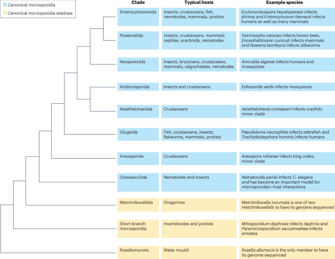 NatureRevMicro tweet picture