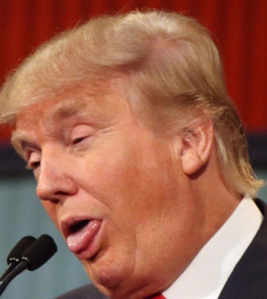 Skeletonkey5555's tweet photo. Why do I have to repent, why do I have to ask for forgiveness if I’m not making mistakes?
~ Donald Trump

When I drink my little wine & have my little cracker, I guess that is a form of asking for forgiveness.
~ Donald Trump