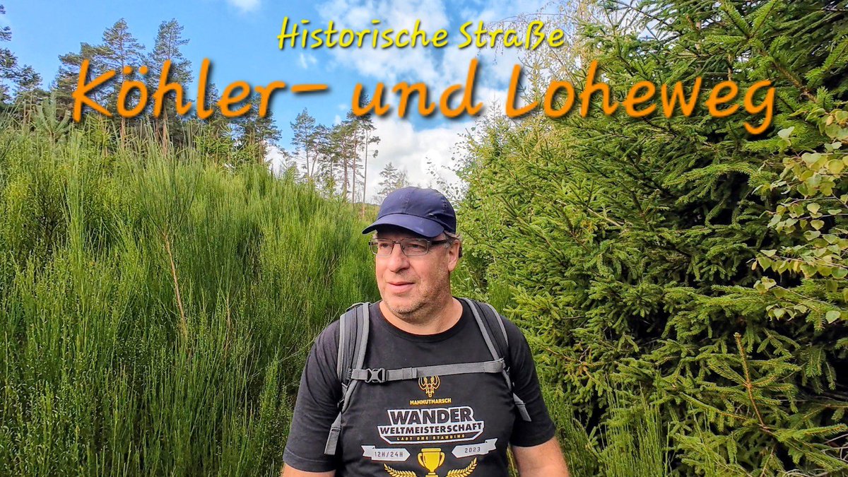 WanderBlog's tweet photo. Historische Straße Köhler- und Loheweg #wandern #wanderung #eifel #outdoor #nature
https://t.co/MYbn7N1vgv https://t.co/nzWImb0hEm