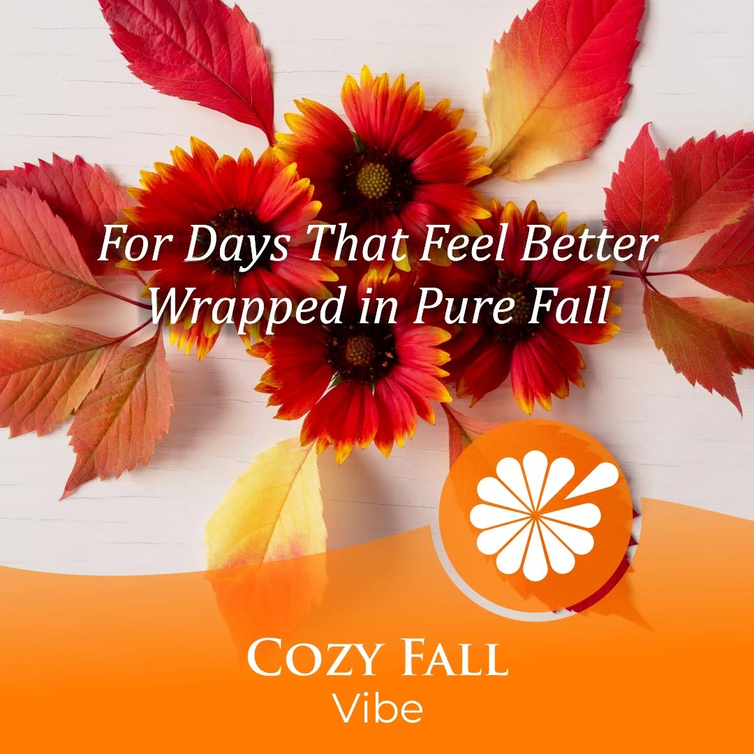 IndyFlorist's tweet photo. 🍁 NEW VIBE DROP: Cozy Fall Vibe 🍁
Summer has officially come to an end, and a beautiful new season begins. 🍂
Happy Fall from all of us at George Thomas Florist! We hope your season is filled with crisp air, changing leaves, cozy moments, beautiful colors, and plenty of reasons to slow down and enjoy it all.
And what better way to welcome fall than with our newest Vibe Drop?
Meet the Cozy Fall Vibe, a one-of-a-kind flower arrangement created by our designers using fresh seasonal blooms inspired by the warmth, colors, and textures of autumn.
No two will be exactly alike. That’s part of the Vibe. 💐🍁
Order here: https://t.co/UQjziGS3Xz
#CozyFallVibe #VibesFloralCollection #FallFlowers #FallFlowersIndianapolis #IndianapolisFlorist #GeorgeThomasFlorist