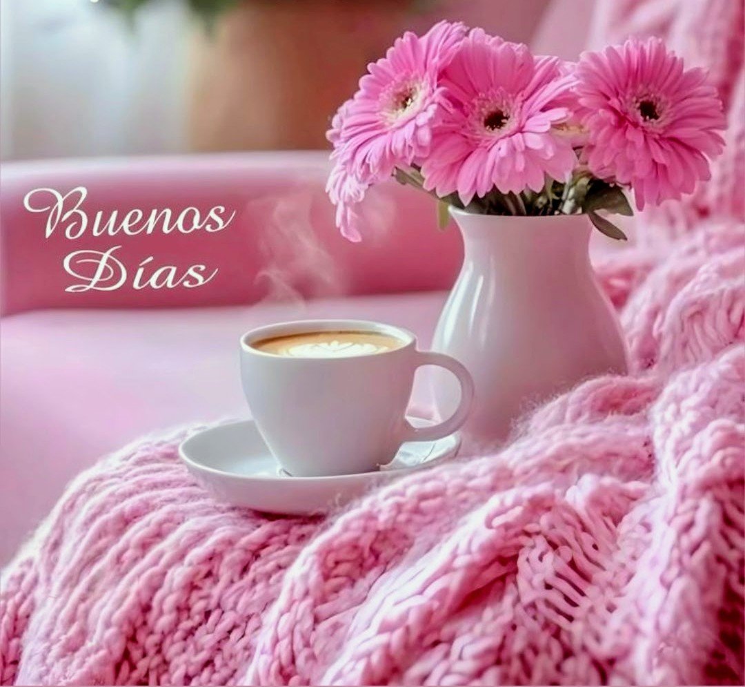 EstelaDuarenhz's tweet photo. @claualvarrez28 @HarotLlanos @Mariaco03038824 @tatyresv @DraPuppy @albert971 @oscarnain @pataliali @ruby201201 @libby8515 @edmarpu @ARZAHE1 @ponchoa21 @oscarrodril01 @coherenciaporf @Lozano72saida @kDeleon02 @leydelmontes @AdalbertoLlinas @MSoniaBustosM @LuchiDeLasPalma @VieccoLopez @JUANCHYDCA @jmcamargo2 @EscolarLaflaca @azarjoceline @orlandopitaga @OscarconH @nenaivonne56 @AndreitaCardi @Maluprabo @PedroAcunaF @GalloMatrix01 @KarolSolisMenco @JordiHamadi Claudia un bonito lunes,saludos y que todos tengamos  una bonita semana. 🌞☕️🫶🦋🍀 https://t.co/LQwNVTUMq1