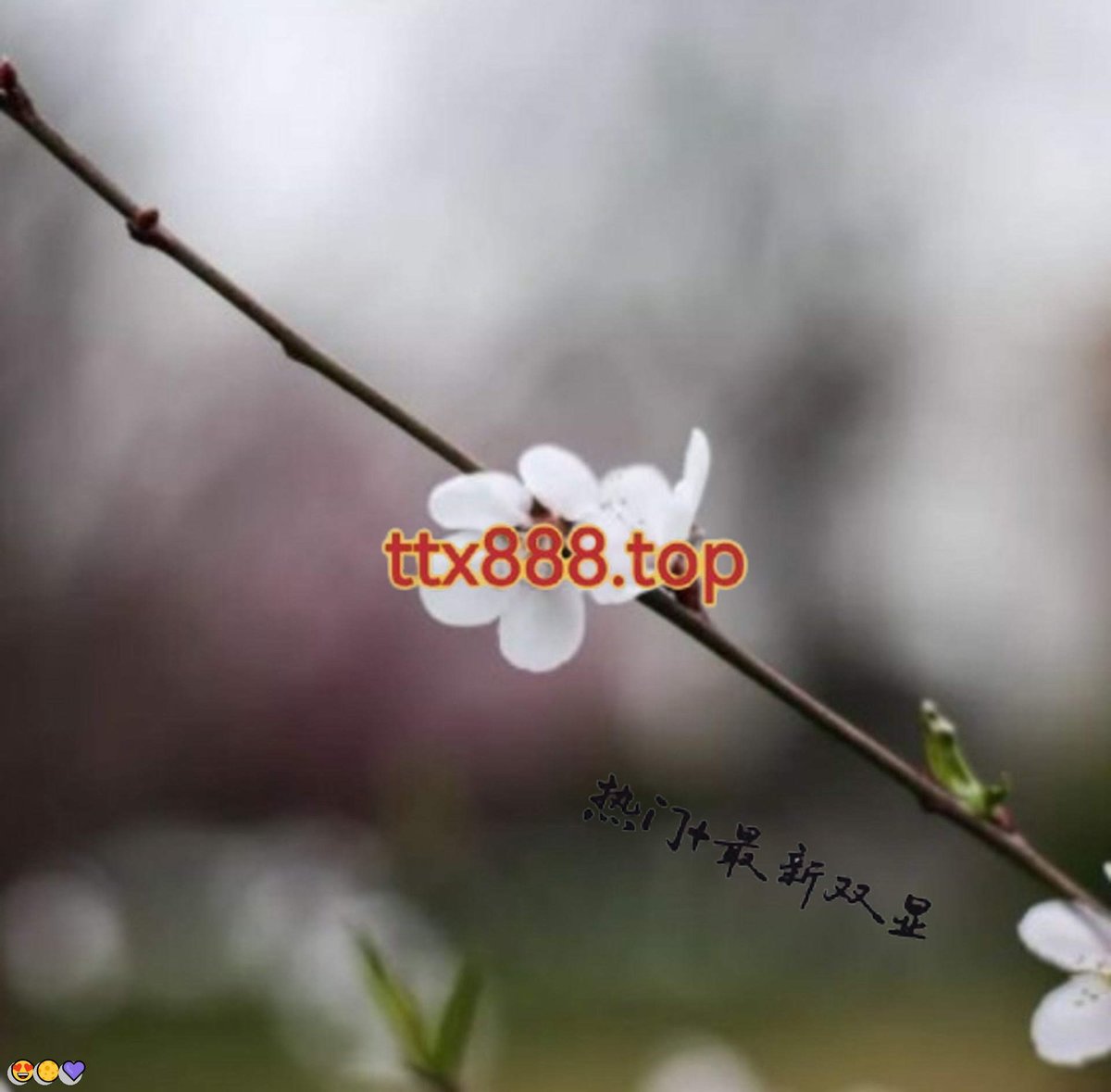 alisj904037's tweet photo. 💖x小号 😀推特工具 🥰每日大赛 😎代发 
🌸推特号 💖外围 🎊博彩 😆足球 🔥世界杯 🍀代孕 😋青岛 👏西安
oTjH2
👍 ❤️ 👏 🙌 https://t.co/WzrvCeAzIW