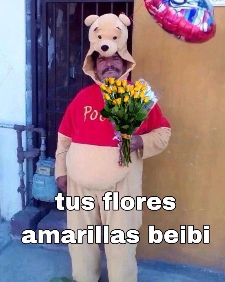 chaostelepath's tweet photo. ⠀ ⠀ ⠀‘  BUENOS DÍASSS,  BUENAS TARDES,  BUENAS NOCHES.  AQUÍ LES TENGO SU LADRILLO AMARILLO.  ’  Sacar unas flores amarillas y dárselas a 𝙡𝙚𝙘𝙩𝙤𝙧.

⠀ ⠀ ⠀‘  Para que vean que tan mala no soy.  ’ https://t.co/eNth9ISSMg
