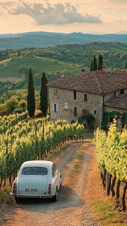 earthserenityy's tweet photo. Tuscany Italy https://t.co/BfJAFUe5Rn