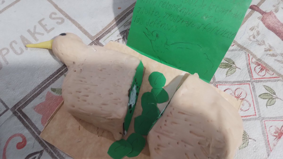 pepe_lopez39's tweet photo. maqueta de kiwi tirando vitaminas c para biología https://t.co/49vfvbNmh9