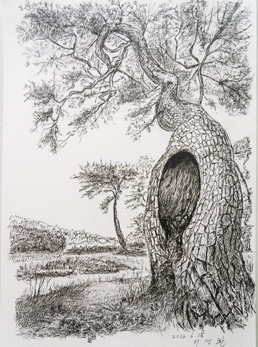 hannahmitc6tls's tweet photo. Old pine tree at King Heondeok’s Tomb

Photo credit
yeongsugi68
Oh Young-sook https://t.co/yoxlxBcKuP