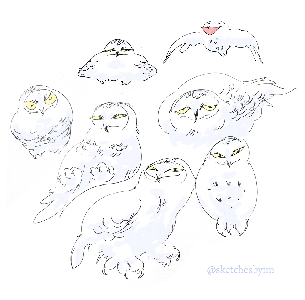 muceart's tweet photo. Doodled some snowy owls https://t.co/sAHxSV50PT