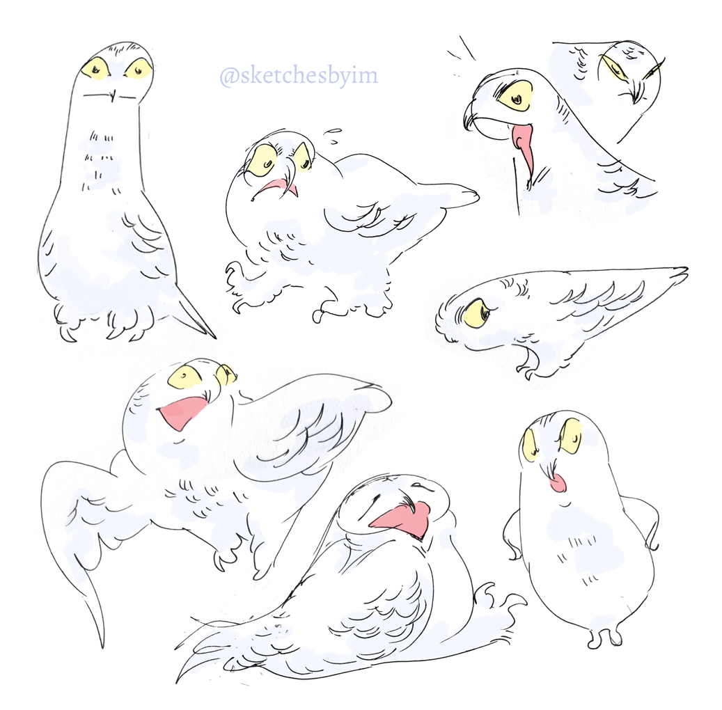 muceart's tweet photo. Doodled some snowy owls https://t.co/sAHxSV50PT
