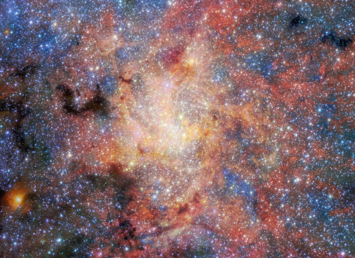NASA_Marshall's tweet photo. A brilliant concentration of stars takes center stage in this image taken by @NASAWebb. 

These new observations showed that dust and water can form and survive surprisingly close to the supermassive black hole at the center of our Milky Way galaxy.

🔗 https://t.co/w1DFuNHQf3 https://t.co/wK1S46GKOi