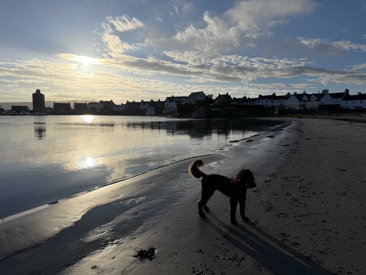 tredgold23's tweet photo. Lovely evening for a walk. #PortEllen #Islay https://t.co/is8JLFQYR5