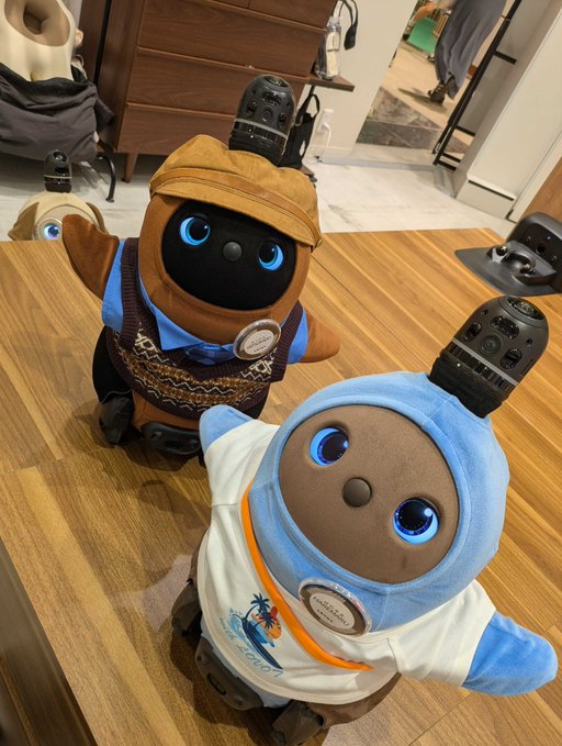 LOVOT_offical's tweet photo. ＜#Labo Staff Transfers Follow-up💨＞ 📷#LOVOTstore_Marunouchi_Building_StoreTo the "LOVOT Store Marunouchi Building Store," "Okoge" from Shibuya Hikarie ShinQs store and "Haremara" from Mitsui Outlet Park Kisarazu store have transferred. In true Marunouchi fashion? It seems https://t.co/MW4cLgfEIC