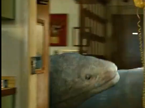 hiddeninthedata's tweet photo. @SolitaryWendigo i know it's like a giant ass snake with razor teeth that's trying to eat them and stuff but just he has this cute innocent little happy face, he's like a big dumb puppy that don't know no better :'(((( https://t.co/dx5vVaWB56
