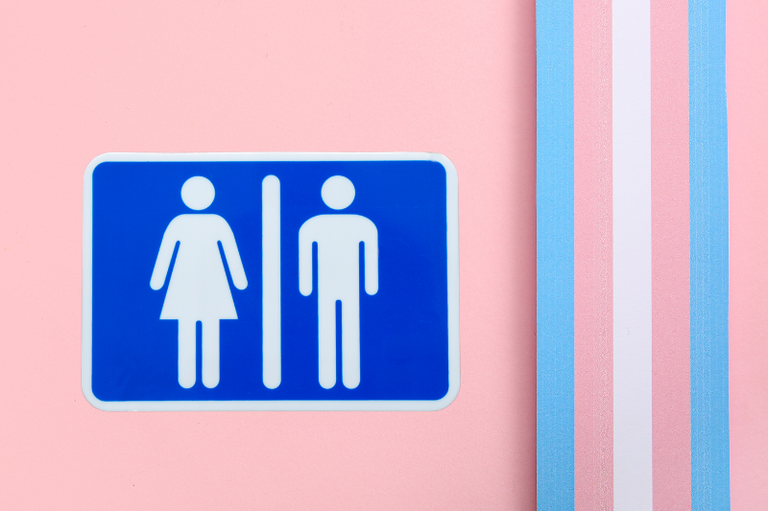 MPF_PI's tweet photo. MPF apura restrição de acesso de pessoas trans e travestis a banheiros com invocação de lei de Teresina (PI). Norma ainda não regulamentada adota o critério do “sexo biológico” para a utilização e para certames e práticas esportivas municipais. Saiba mais https://t.co/0zkLaN23n4 https://t.co/fiwTx8Qw3J